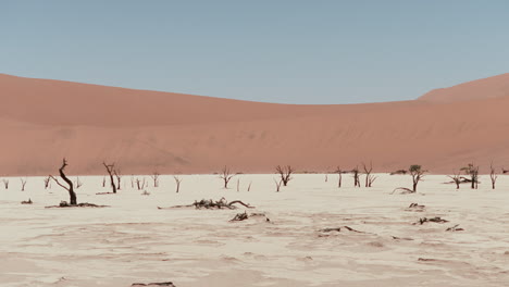 dead vlei, namibia