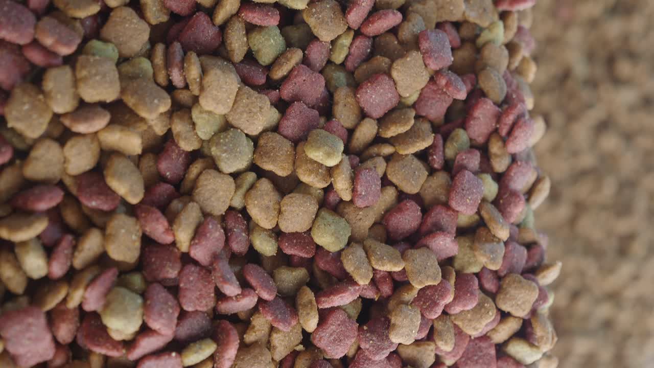 Pet Food Kibble