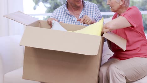 Senior-couple-opening-box