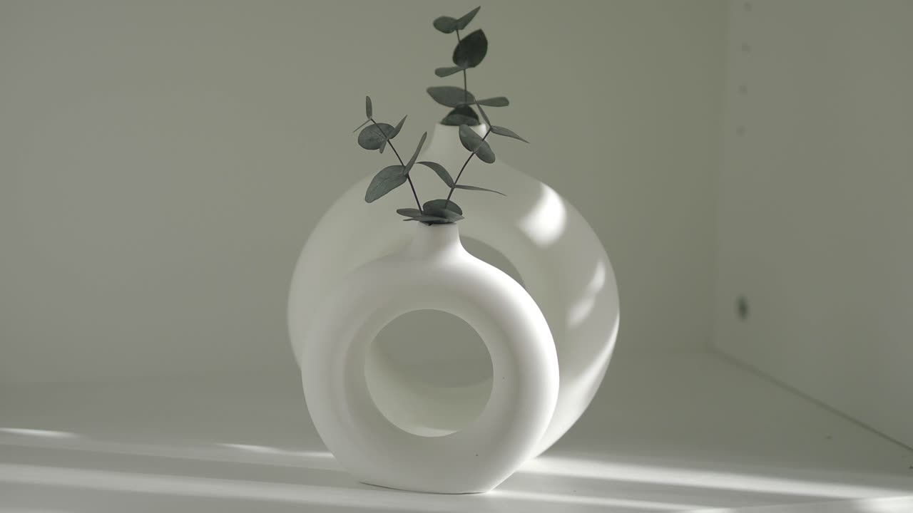 Minimalist White Vase with Eucalyptus