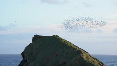 Murmuration-of-starlings-as-they-fly-together-in-unison-at-Ilheu-São-Roque