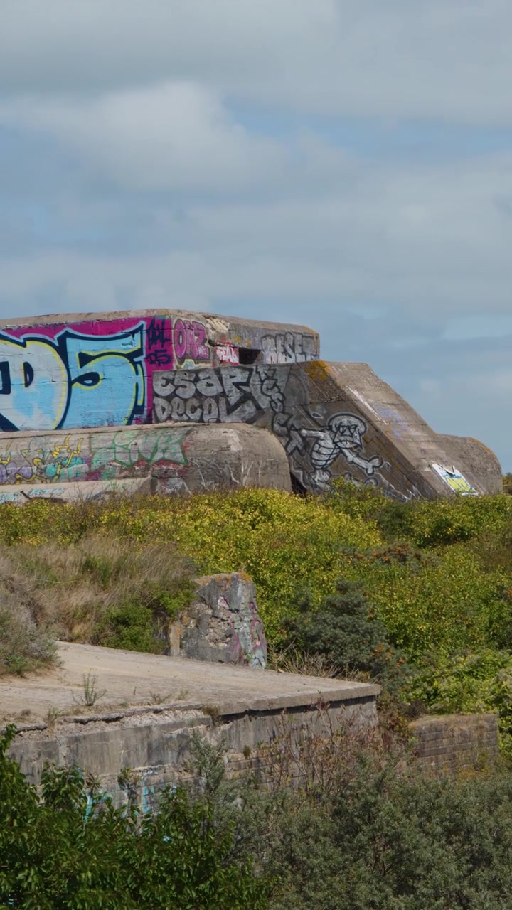 Daylight pan reveals overgrown World War II bunkers, graffiti-covered concrete, and lush coastal vegetation