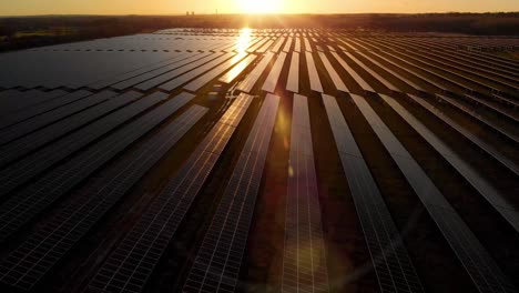 solar farm at dawn