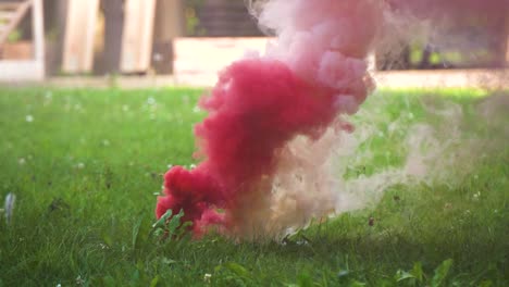 slow motion shot with smoke grenade in grass