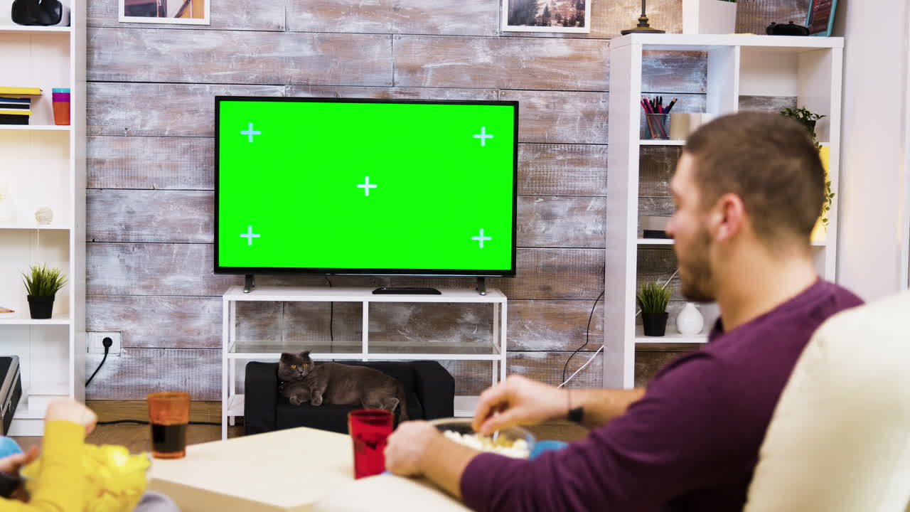 Living room with chroma key television and cat