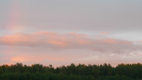 Time-Lapse,-Pink-Clouds-At-Forest,-Cloudscape
