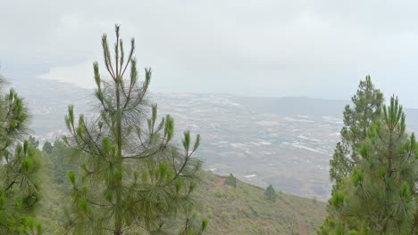 Wild-Tenerife-nature-landscape-in-North-of-Tenerife,-panning,-overcast-day