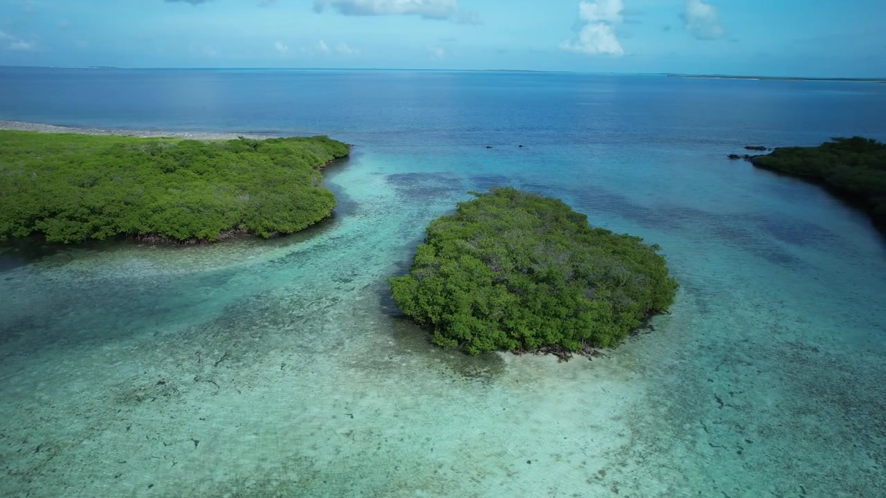 Lussureggianti isole di mangrovie verdi circondate da acque turchesi cristalline in un sereno ambiente tropicale