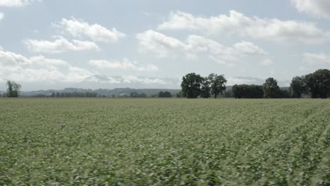 Drone-flying-at-low-altitude-over-green-fields-of-French-countryside