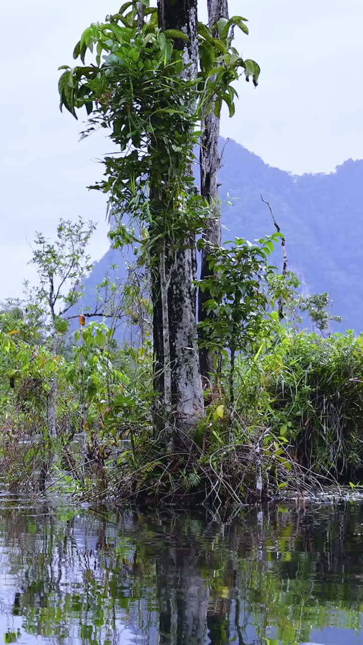 태국 크라비의 은 물 운하에서 경치 좋은 카야크 모험