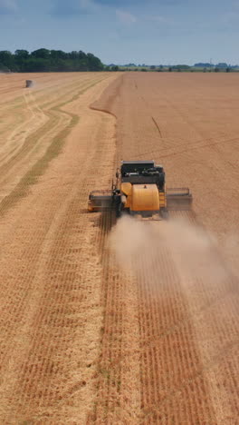 little yellow harvester machine riding by the field and leaving the mowed trail. approaching the combine from behind. beautiful landscape at backdrop. vertical video