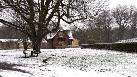 Schneit-Draußen-Im-Schwedischen-Park