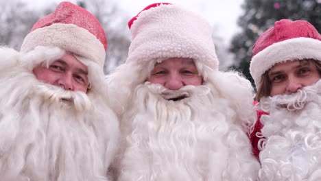 three happy santa clauses happy walking in the square against the backdrop of a christmas tree three happy santa clauses happy walking in the square against the backdrop of a christmas tree portrait of smiling men in santa costumes merry christmas