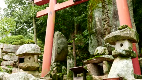 close-up view of japanese temple