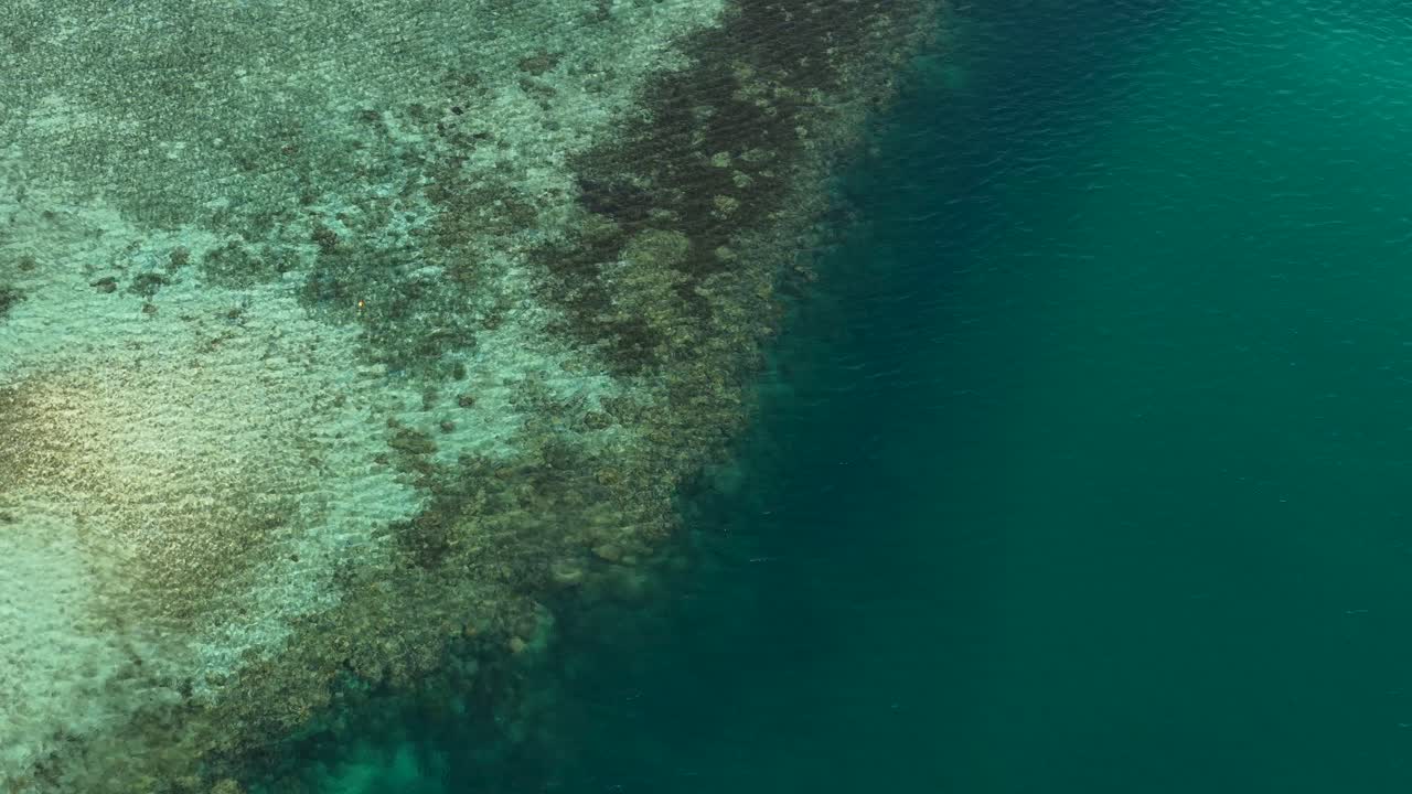 Ripresa aerea con drone dall'alto che sorvola vivaci barriere coralline nelle limpide acque turchesi dell'Oceano Pacifico