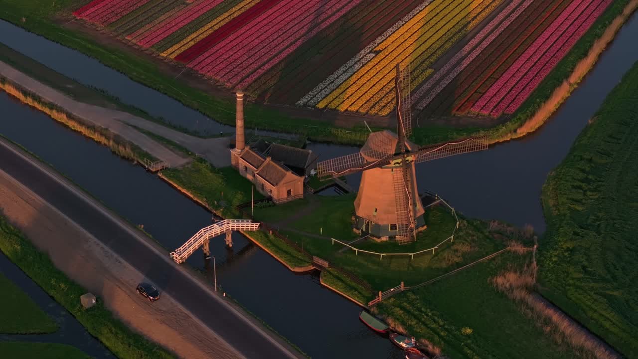 Vista aerea di un mulino tradizionale vicino a un canale e tulipani alla luce dorata, Paesi Bassi