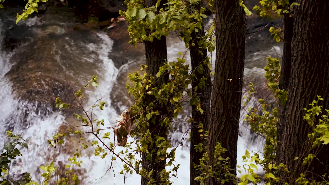 River inside sadabad complex, Iran, Tehran
