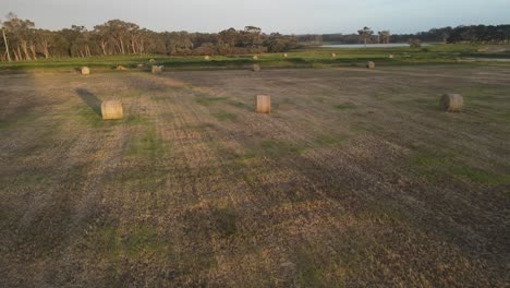 Aerial-flyover-agricultural-fields-with-many-grass-bales-during-sunset-In-Margaret-River,-Western-Australia