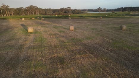 campos agrícolas aéreos con muchos fardos de hierba durante la puesta de sol en el río margaret, australia occidental