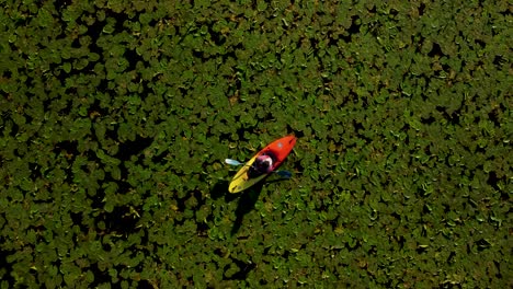 Drone-shot-of-Kayaker-floating-on-a-bed-of-lily-pads