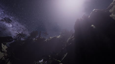 stars trails over sandstone canyon walls