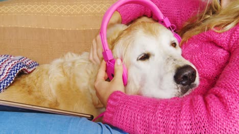 woman mounting headphone on dogs ear on sofa 4k