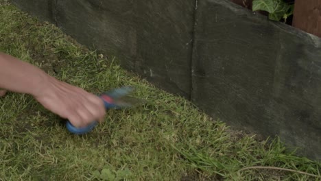 woman trimming lawn edge border with scissors in garden