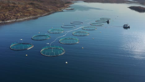 A-salmon-farm-in-the-Norwegian-fjord