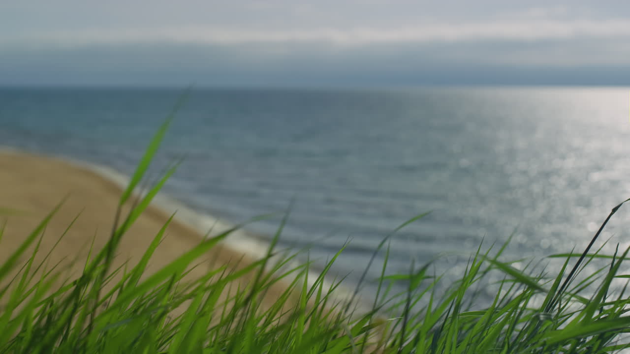 풀이 움직이는 바다 해변 야외. 바다 파도가 모래 해안에서 부 ⁇ 히는 탑 뷰.