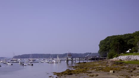 falmouth , maine marina with homes overlooking the water and moored boats