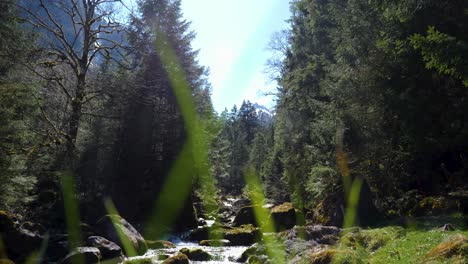 calm shot of a river flowing through a green valley in the swiss alps