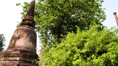 ancient pagoda beside lush green tree