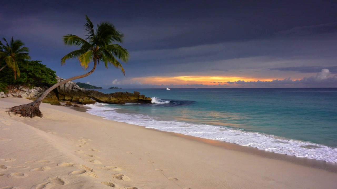Ondas quebrando perto de palmeira inclinada, molhando areia e apagando pegadas ao pôr do sol, espaço para texto.