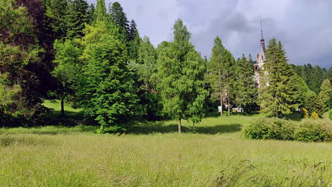 Peles-Castle-in-Sinaia,-spotted-through-the-trees-on-a-green-grass-meadow-in-slow-motion-on-a-sunny-day,-white-butterflies-playing-in-the-air,-4K-video