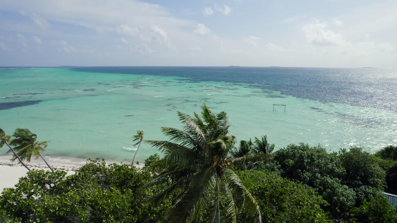 Incredibile filmato in 4K di un drone che sorvola una spiaggia tropicale con palme e acqua di mare turchese in una giornata di sole.