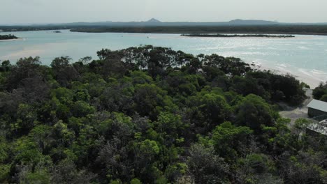 Drone-Adelante-Pov-Sobre-La-Vegetación-De-La-Reserva-Natural-De-Noosa-Heads-En-Australia