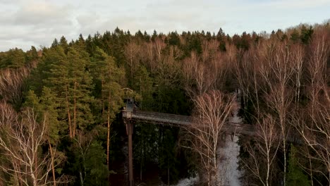 View-of-Anyksciai-Laju-Takas,-Treetop-Walking-Path-Complex-With-a-Walkway,-an-Information-Center-and-Observation-Tower,-Located-in-Anyksciai,-Lithuania-Near-Sventoji-River