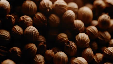 macro shot over fresh organic coriander