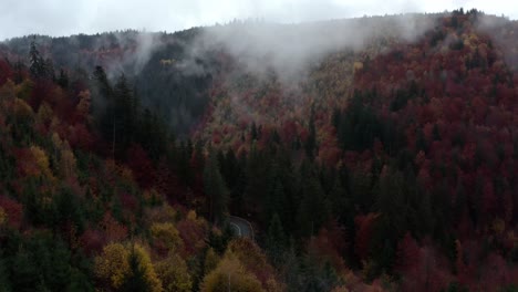 Tilt-up-aerial-shot-of-misty-valley-with-road-through-beautiful-colorful-autumn-forest