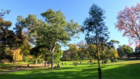 visitors relaxing and walking in flagstaff gardens