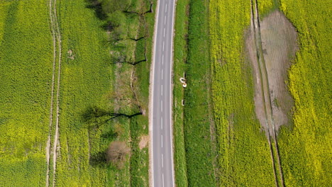 aerial view of a country road cutting through vibrant yellow rapeseed fields