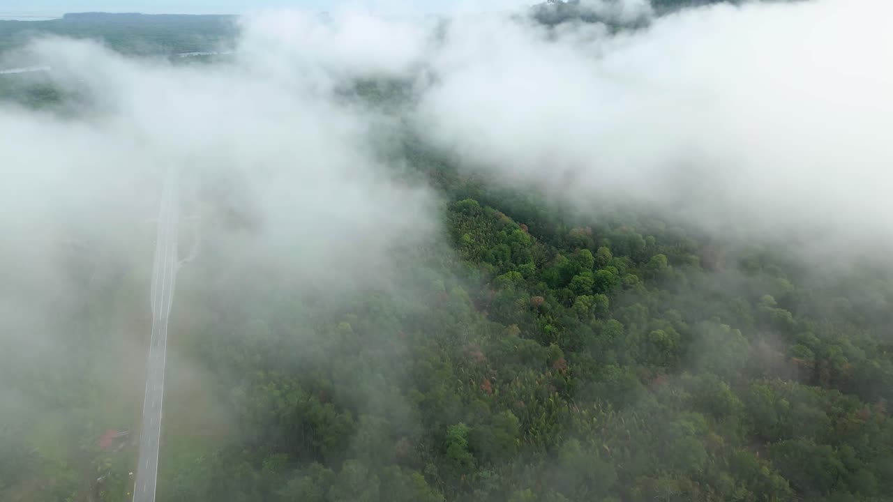 아리엘 드론 뷰 안개가 가득한 아침 해가 지고 푸른 숲이 세메파디 해안 도로 링크 사라와크, 보르네오에 있습니다.