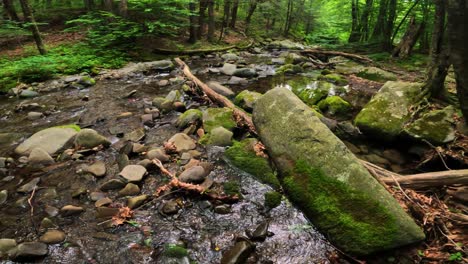 Schöner,-Bewaldeter-Bach-Im-Dichten,-üppigen,-Grünen-Appalachen-Gebirgswald-Im-Sommer