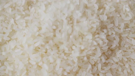 grains of rice, source of carbohydrates and provides essential nutrients