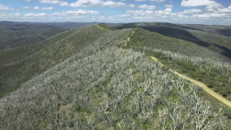 Dramatic aerial shot following a ridge line in the mountains of the Victorian High Country, Australia
