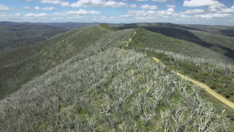 Dramatic-aerial-shot-following-a-ridge-line-in-the-mountains-of-the-Victorian-High-Country,-Australia