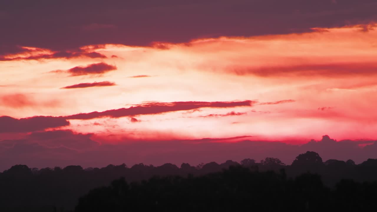 Beautiful sunset hues in red and pink over the horizon above the rain forest Panning shot