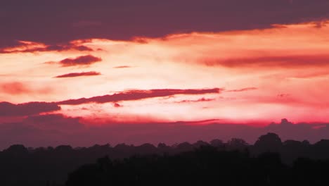 beautiful sunset hues in red and pink over the horizon above the rain forest panning shot