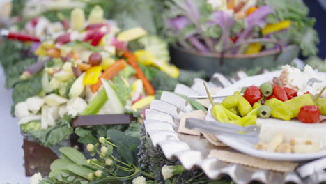 amplia gama de vegetales verdes saludables preparados para los invitados