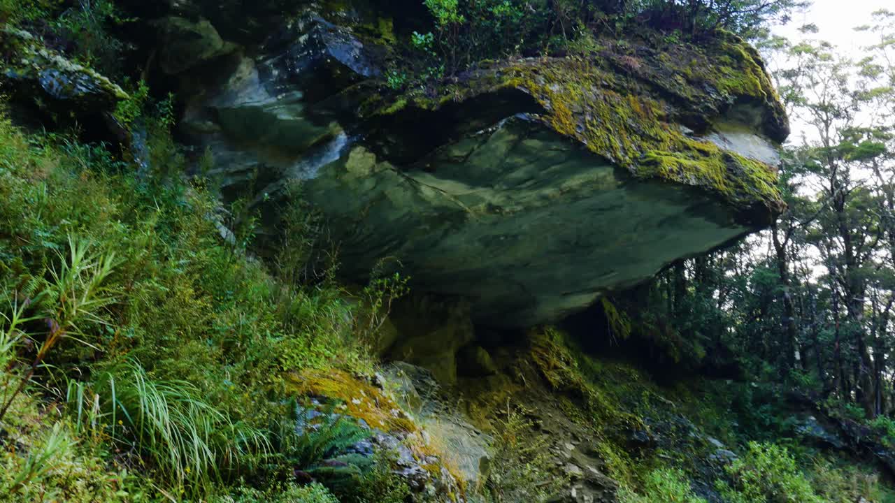 Ripresa inclinata verso il basso di un gigantesco masso ricoperto di vegetazione sopra un piccolo sentiero tra le montagne nel Parco nazionale del Monte Aspiring